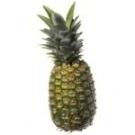Ananas
COOP
1000 GR